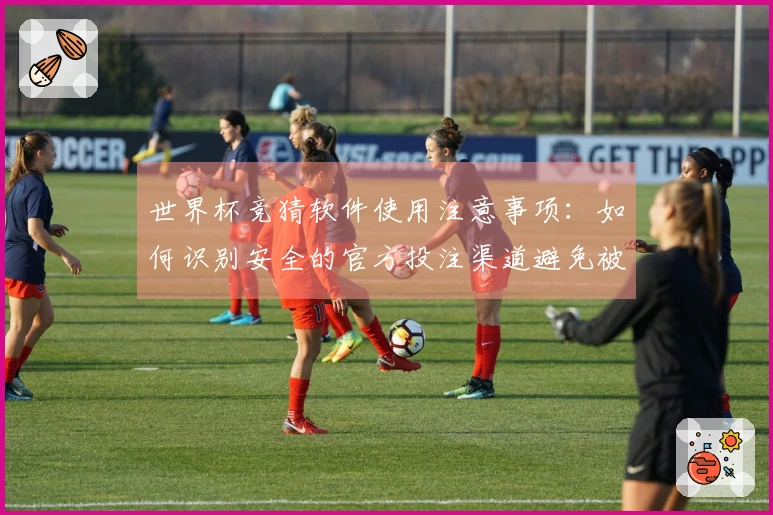 世界杯竞猜软件使用注意事项：如何识别安全的官方投注渠道避免被骗
