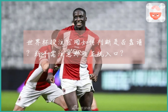 世界杯投注官网如何判断是否靠谱？新手需注意哪些正规入口？