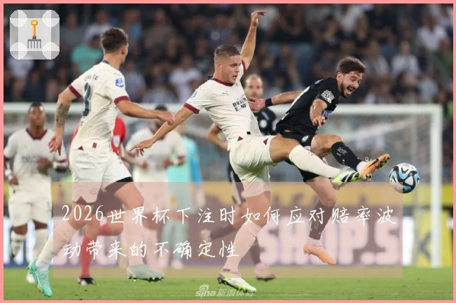 2026世界杯下注时如何应对赔率波动带来的不确定性