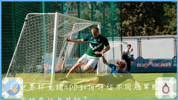 世界杯竞猜app如何评估不同冠军赔率的变化与风险？