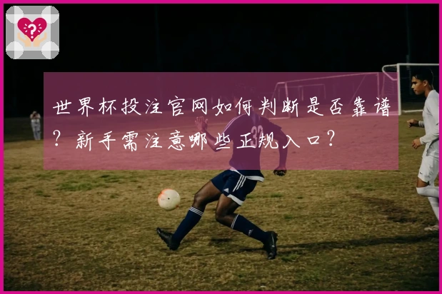 世界杯投注官网如何判断是否靠谱？新手需注意哪些正规入口？