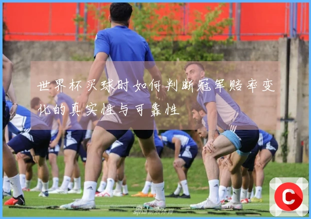 世界杯买球时如何判断冠军赔率变化的真实性与可靠性