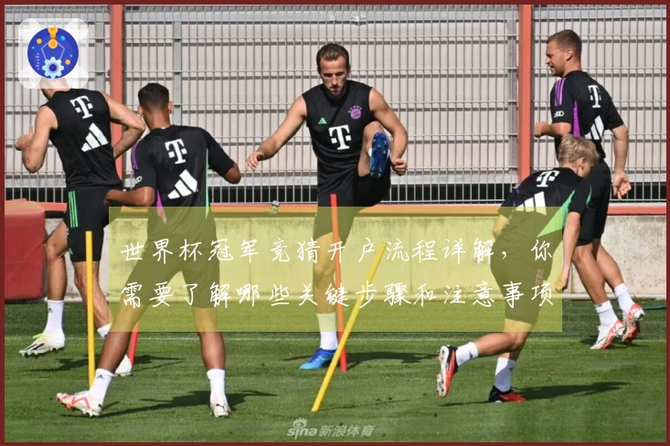 世界杯冠军竞猜开户流程详解，你需要了解哪些关键步骤和注意事项