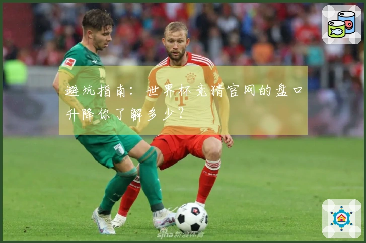 避坑指南：世界杯竞猜官网的盘口升降你了解多少？