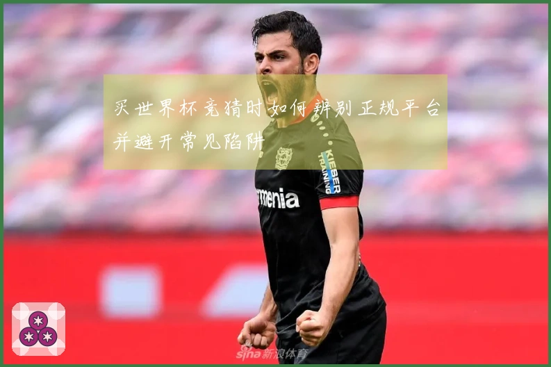 买世界杯竞猜时如何辨别正规平台并避开常见陷阱
