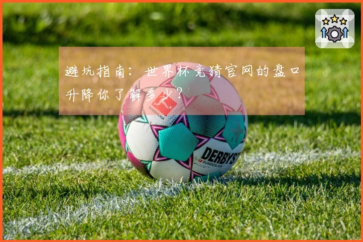 避坑指南：世界杯竞猜官网的盘口升降你了解多少？