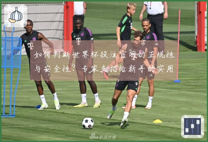 如何判断世界杯投注官网的正规性与安全性？专家支招给新手的实用指南