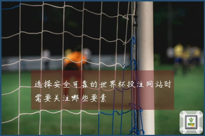 选择安全可靠的世界杯投注网站时需要关注哪些要素