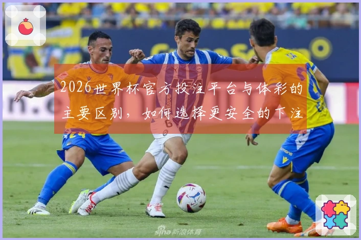 2026世界杯官方投注平台与体彩的主要区别，如何选择更安全的下注方式