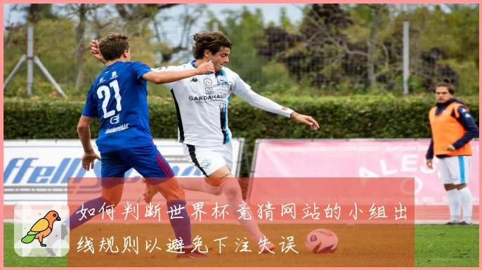 如何判断世界杯竞猜网站的小组出线规则以避免下注失误