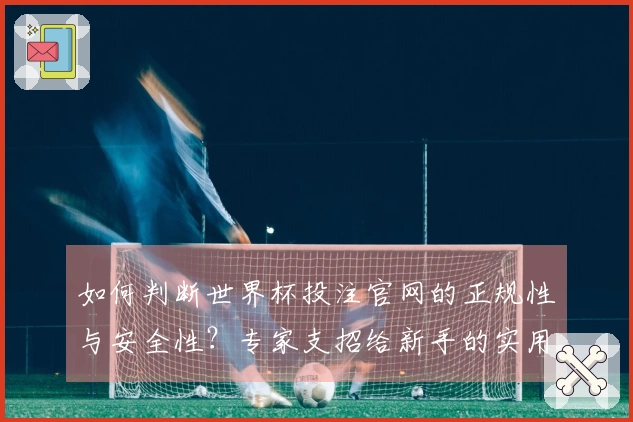 如何判断世界杯投注官网的正规性与安全性？专家支招给新手的实用指南