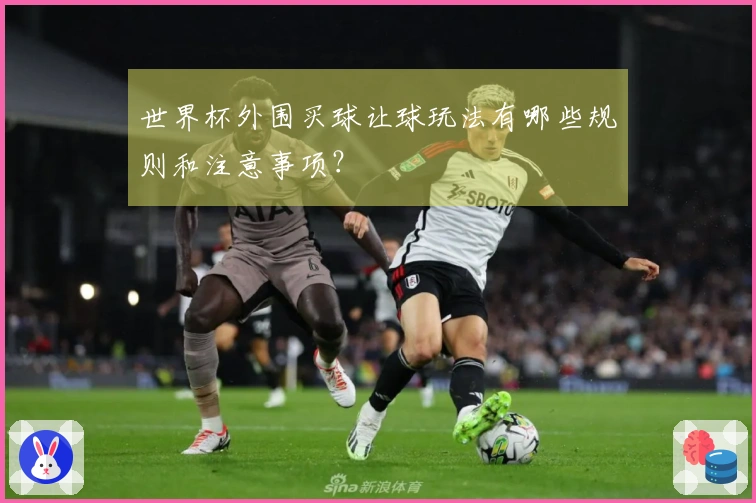 世界杯外围买球让球玩法有哪些规则和注意事项？
