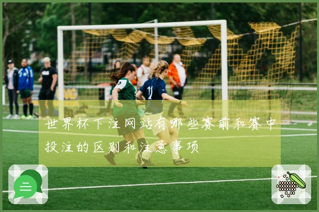 世界杯下注网站有哪些赛前和赛中投注的区别和注意事项