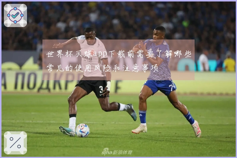 世界杯买球app下载前需要了解哪些常见的使用风险和注意事项
