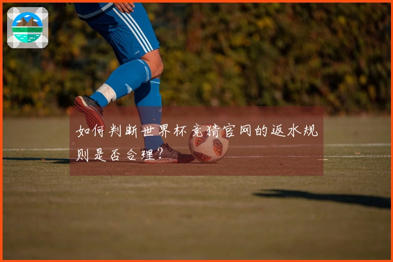 如何判断世界杯竞猜官网的返水规则是否合理？