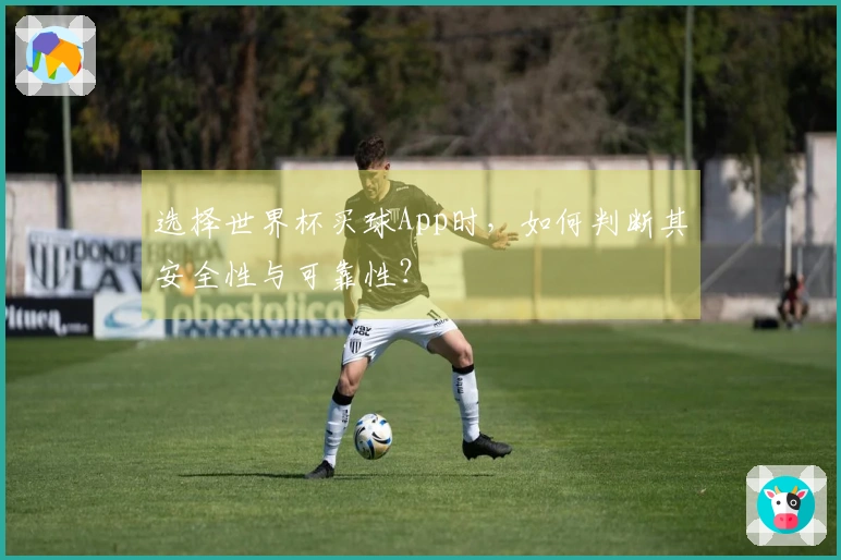 选择世界杯买球App时，如何判断其安全性与可靠性？