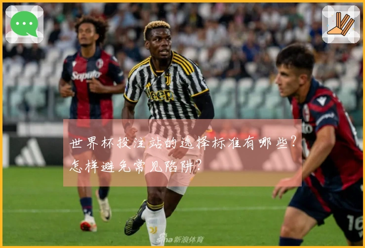 世界杯投注站的选择标准有哪些？怎样避免常见陷阱？