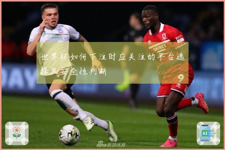 世界杯如何下注时应关注的平台选择及安全性判断
