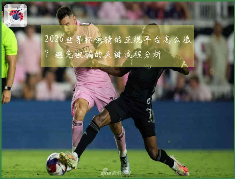2026世界杯竞猜的正规平台怎么选？避免被骗的关键流程分析