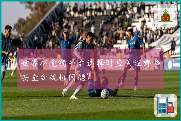 世界杯竞猜平台选择时应关注哪些安全合规性问题？