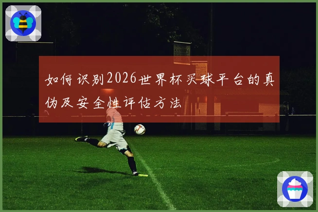 如何识别2026世界杯买球平台的真伪及安全性评估方法